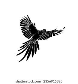 Black silhouette of flying macaw on white background. Graphic drawing. Vector illustration.