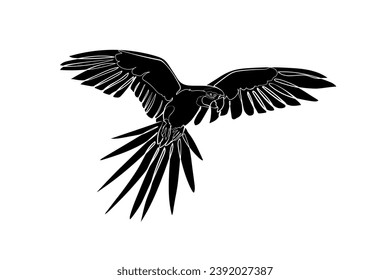 Silueta negra de loro volador sobre fondo blanco. Dibujo gráfico. Ilustración vectorial.