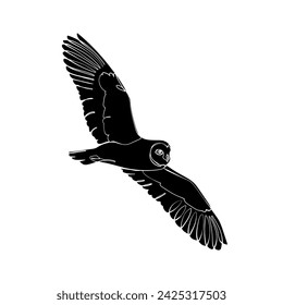 Black silhouette of the flying short-eared owl on white background. Graphic drawing. Vector illustration.