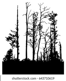 black silhouette of forest. deciduous trees without leaves. the illustration is seamless. eps 8
