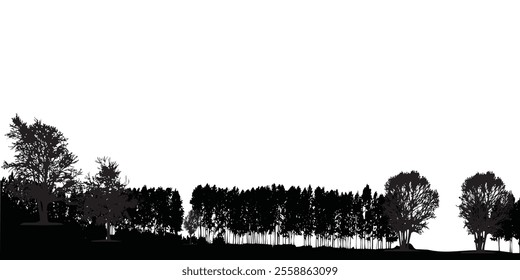 A black silhouette of forest trees against a white background. Perfect for nature-themed designs, posters, or artistic templates. Ideal for calm and minimal visual appeal