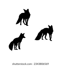 Black silhouette of foxs on white background. black icon of a fox. vector illustration of a vermin. black logo for fox.