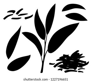 Black silhouette. Fresh tea leaves and pile dry tea. Green tea for design, advertising and packaging. Flat vector illustration isolated on white background.
