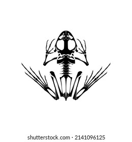 frog skeleton clipart