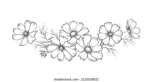 Black silhouette of a garland of cosmos flowers. Vector illustration on white background.