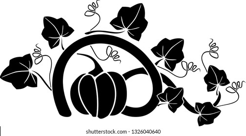 Black silhouette of general view of pumpkin plant with ripe fruit and leaves isolated on white background