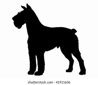 The black silhouette of a German Schnauzer