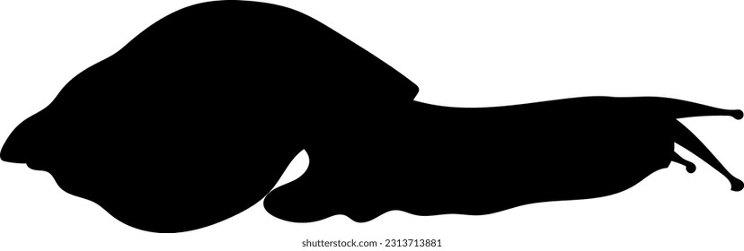 Black silhouette of Giant African land snail (Lissachatina fulica) isolated on white background