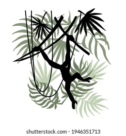 black silhouette of gibbon jumping on lianas and palm branches in jungle, color vector illustration isolated on a white background in hand drawn style