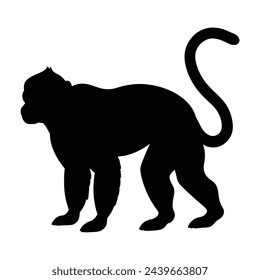 black silhouette of a gibbon on white