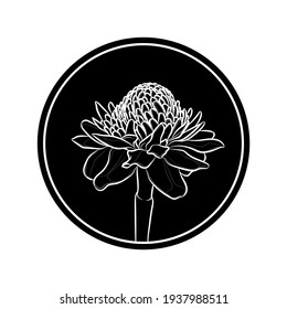 Black silhouette of ginger flower in black circles. Graphic drawing. Vector illustration.