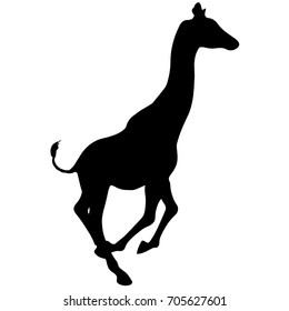 black silhouette of a giraffe. isolated vector illustration