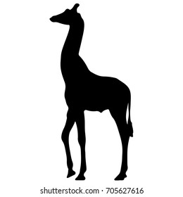 black silhouette of a giraffe. isolated vector illustration