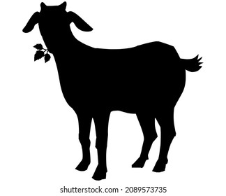 Schwarze Silhouette von Ziegen, die Gras fressen, oder Blätter aus dem Boden, Logo oder Etikett einer Ziege