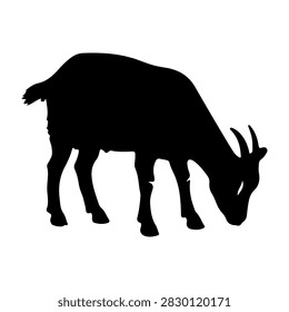 A black silhouette of a goat grazing, highlighting its horns and body shape against a plain background.