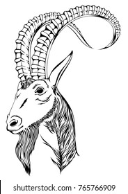Black silhouette of goat on white background