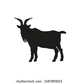 Black silhouette of goat standing side view. Vector illustration isolated on white background