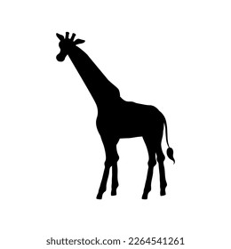 Black silhouette of going giraffe side view flat style, vector illustration isolated on white background. Walking African animal with long neck, design element
