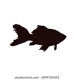black silhouette of Goldfish, veil vector illustration