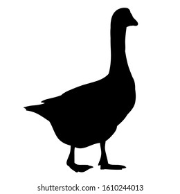 black silhouette of a goose