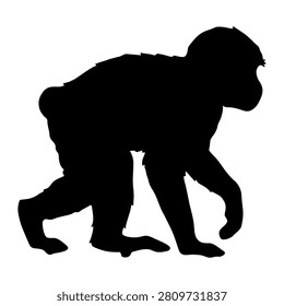 A black silhouette of a gorilla standing on all fours against a plain white background, emphasizing the animals shape and posture.