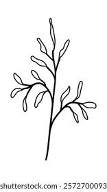 Black silhouette of a graceful branch with leaves. Clipart. Can be used for animation of individual parts and elements. Isolated vector element.	 