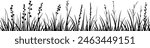 Black silhouette of grass border, seamless vector illustration