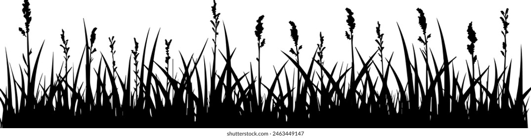 Black silhouette of grass border, seamless vector illustration