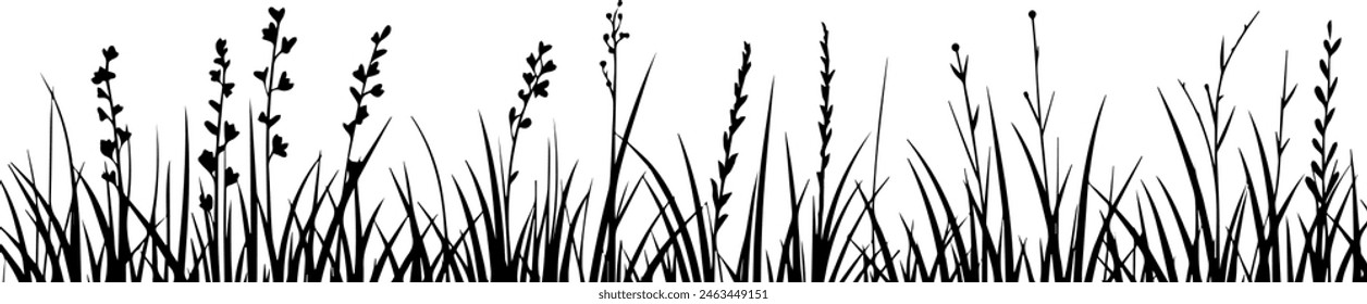 Black silhouette of grass border, seamless vector illustration