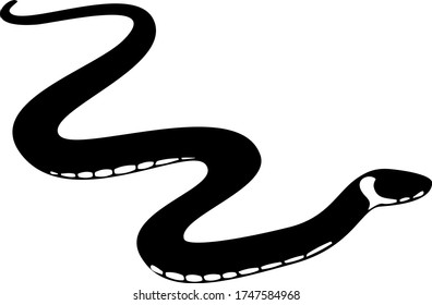 Grass Snake Natrix Natrix Isolated On Stock Vector (Royalty Free ...