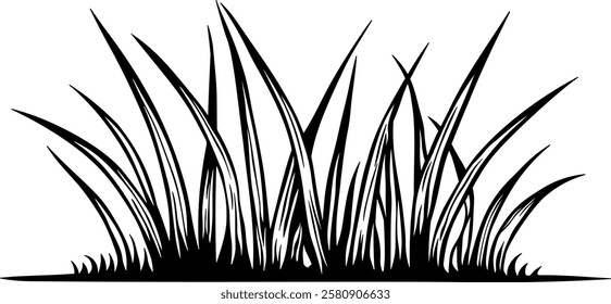 black silhouette of grass without background