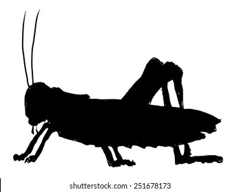 black silhouette of grasshopper