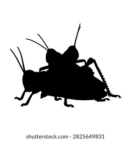Black silhouette of a grasshopper isolated on a plain background, highlighting its detailed body structure and long antennae.