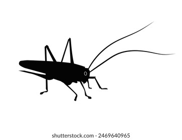 Black silhouette of a grasshopper on a white background. Vector illustration