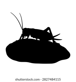 Black silhouette of a grasshopper perched on a rock, highlighting insect anatomy and natural posture in a minimalistic style.