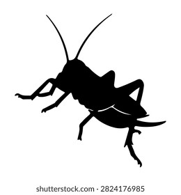 A black silhouette of a grasshopper, showcasing detailed body parts and antennae, set against a plain white background for clear visual focus.