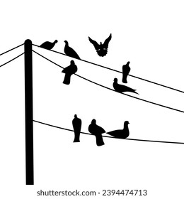 Black silhouette of a group of pigeons perched on a power pole cable on a white background. A group of black bird shadows.