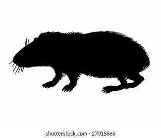 Black Silhouette Guinea Pig On White Stock Vector (Royalty Free ...