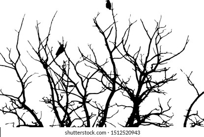 black silhouette for halloween, crows sitting on a tree in winter or autumn forest, dry trees, doodle style, vector illustration