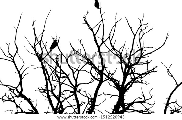 ハロウィーン用の黒いシルエット 冬や秋の森の木に座るカラス 枯れ木 落書き風 ベクターイラスト のベクター画像素材 ロイヤリティフリー
