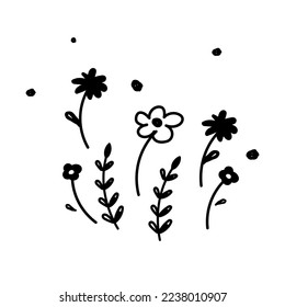 Black silhouette of hand drawn flowers on a white background. Hand drawn sketch flowers and insects