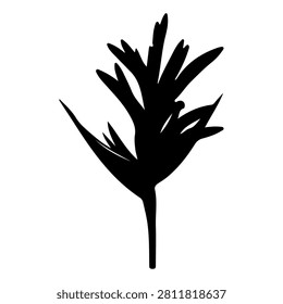 A black silhouette of a hand grasping a leaf, symbolizing nature, growth, and environmental connection, set against a plain white background.