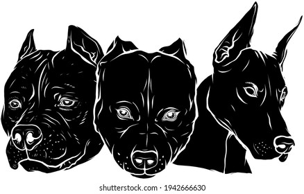 black silhouette of Heads of dogs pitbull dobermann bulldog vector