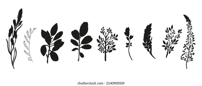 Black silhouette of herbs set. On a white background. Vector illustration.