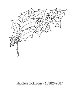 Black silhouette of holly. Vector illustration.