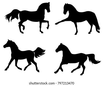 Black silhouette horse