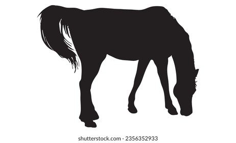 Black silhouette of horse, Beautiful horse vector design, rearing up horse, Horses silhouette vector illustration, horse vector