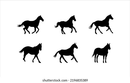 Black Silhouette of Horse Collection on White Background 
