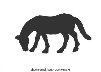 Black silhouette of horse isolated on white background. Simple flat vector illustration, EPS 10.