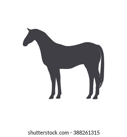 Black silhouette of a horse. Isolated on a white. Vector illustration.